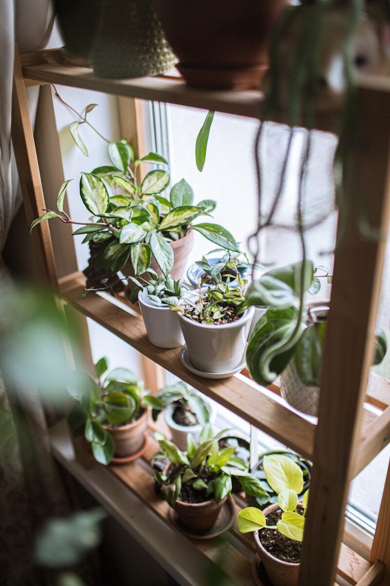 Child Protection Laws